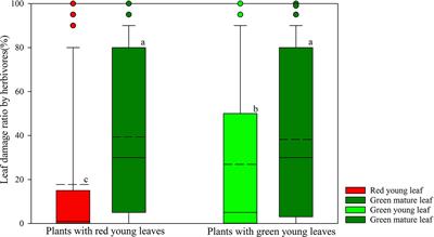 Why Are There so Many Plant Species That Transiently Flush Young Leaves Red in the Tropics?